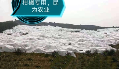 柑橘专用防寒布